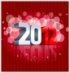 Что приготовить на новый 2012 год